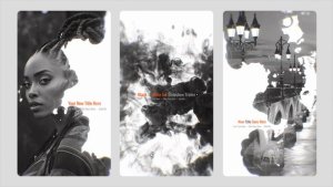 Videohive Black and White Vertical Ink Slideshow Openers template preview