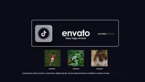 Videohive Logo Reveal 47412341 Logo Stings template preview