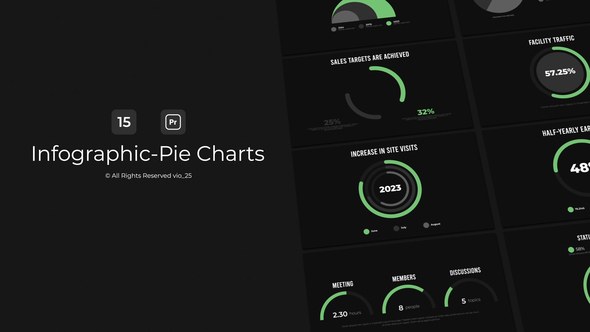 Infographic Pie Charts / PR Premiere Pro template preview
