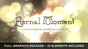 Eternal Moment Wedding Video Displays template preview