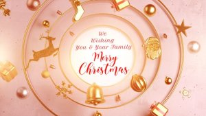 Videohive Christmas & New Year Greetings 55663574 Openers template preview
