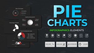 Videohive Infographic - Pie Charts Infographics template preview