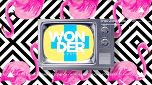Wonder Television Video Displays template preview
