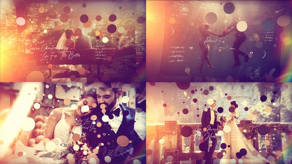 Videohive Brush Particle Wedding Slideshow Video Displays template preview