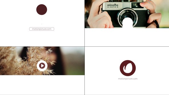 Videohive Website Photo Logo Reveal Openers template preview