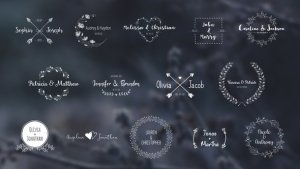 Videohive Wedding Titles Pack 28418047 Titles template preview