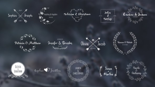 Videohive Wedding Titles Pack 28418047 Titles template preview