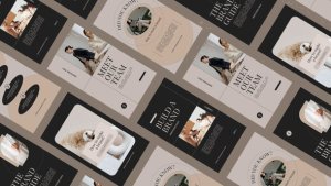 Videohive Corporate Business Instagram Stories Product Promo template preview