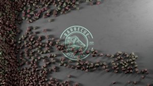 Videohive Logo Opener 58441853 Logo Stings template preview
