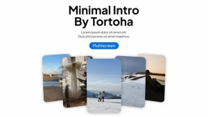 Videohive Minimalist Intro Openers template preview