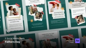 Videohive Happy Fathers Day - Instagram Reel Template Product Promo template preview