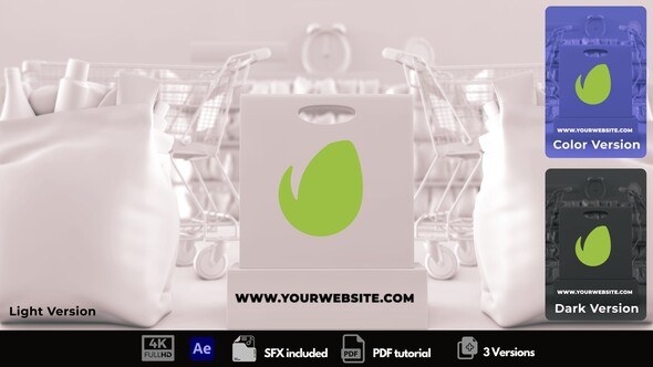 Videohive Shopping Time Logo Stings template preview