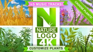 Videohive Nature Eco Plants Logo Logo Stings template preview