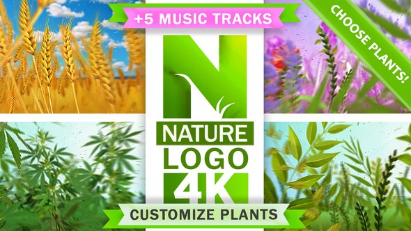 Videohive Nature Eco Plants Logo Logo Stings template preview