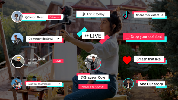 Videohive Tiktok Social Media Lower Third Elements template preview