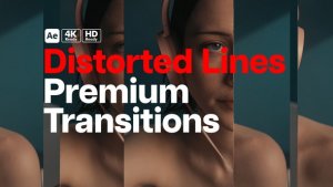 Videohive Premium Transitions Distorted Mirror Elements template preview