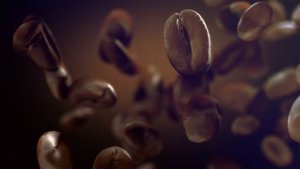 Videohive Coffee 22778458 Logo Stings template preview