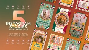 Videohive Cinco De Mayo Mexican Festival Instagram Reel Video Displays template preview