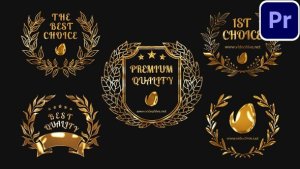 5 Golden Awards MOGRTs For Premiere Pro Premiere Pro template preview