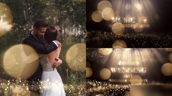 Videohive Wedding 22263676 Openers template preview