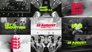 Videohive Music Event Promo / Dynamic Opener / Party Invitation / EDM Festival / Night Club Openers template preview