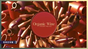 Videohive Organic Wine/ РЎocktail/ White Red Wine/ Beer/ Alcohol/ Bar/ Drinks/ Italy/ Georgia/ France/ Grape Product Promo template preview