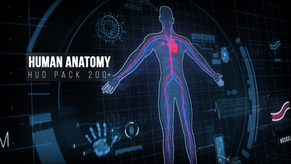 Videohive Human Anatomy HUD Pack 200+ Elements template preview