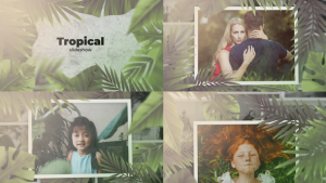 Videohive Tropical Slideshow Video Displays template preview
