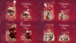 Videohive Valentines day instagram stories and post 42163807 Video Displays template preview
