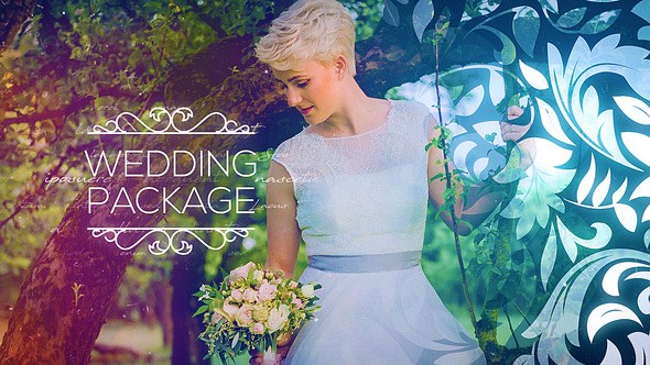Videohive Wedding Package 22669041 Video Displays template preview
