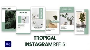 Videohive Tropical Instagram Reels Product Promo template preview