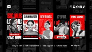Videohive DJ Party Instagram Stories Product Promo template preview