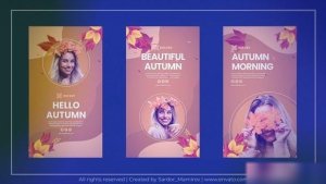Videohive Hello Autumn, Instagram Stories 47577084 Openers template preview