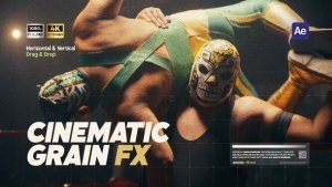 Videohive Real Grain Overlay Effect Elements template preview