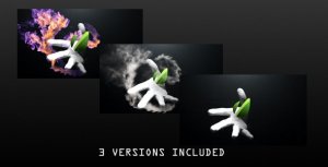 Videohive Hand Reveal Logo Stings template preview