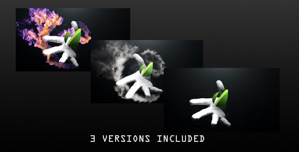 Videohive Hand Reveal Logo Stings template preview