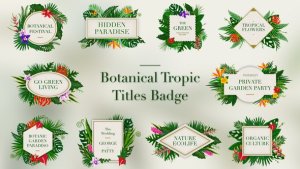 Videohive Tropical Titles Badge Titles template preview