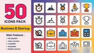 Videohive Dual Icons Pack - Business & Startup Infographics template preview