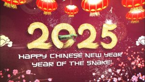 Videohive Chinese New Year Celebration 2025 | After Effects Openers template preview