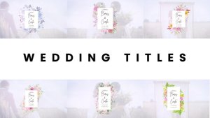 Videohive Wedding titles 59106428 Openers template preview