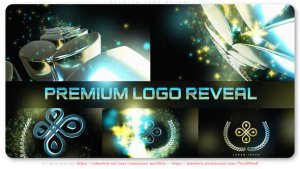 Videohive Premium Logo Reveal 52995913 Logo Stings template preview