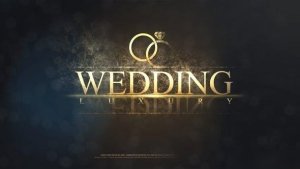 Videohive Wedding 22032085 Openers template preview