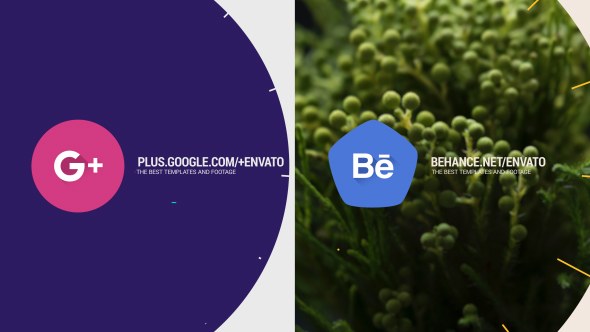 Videohive Flip Logo Reveals Logo Stings template preview