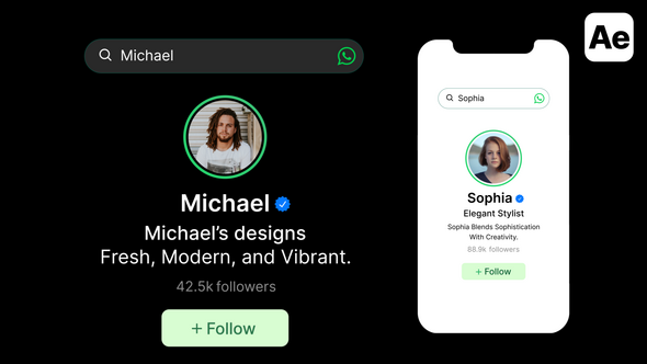 Videohive WhatsApp Search Bar, Profile, Result Elements template preview