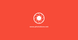 Videohive Photographer Logo 19646552 Logo Stings template preview