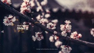 Videohive Clean Modern Slides 3 Video Displays template preview