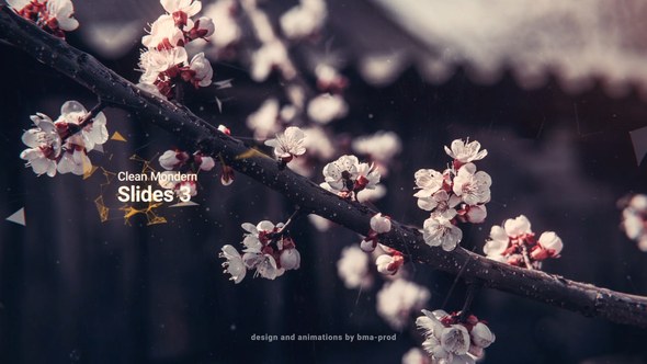 Videohive Clean Modern Slides 3 Video Displays template preview