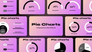 Videohive Pie Charts 56125848 Infographics template preview