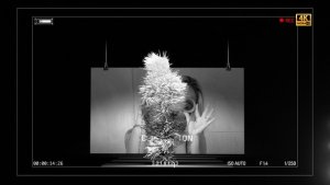 Videohive Dolce & Banana Broadcast-packages template preview