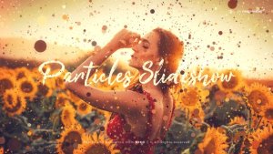Videohive Particles Slideshow Video Displays template preview